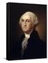 George Washington-Rembrandt Peale-Framed Stretched Canvas