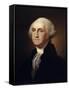 George Washington-Rembrandt Peale-Framed Stretched Canvas