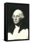 George Washington-null-Framed Stretched Canvas