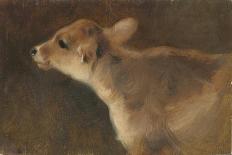 A Calf, 1879-George Wiliam Horlor-Stretched Canvas