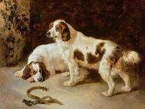 Brittany Spaniels-George Wiliam Horlor-Stretched Canvas
