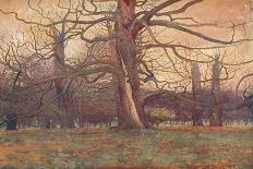 'Study of an Oak Tree', c1878 (1903-1904)-George Wilson-Giclee Print