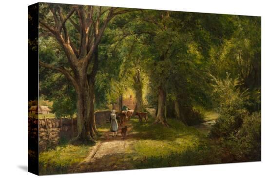 Stretched Canvas Print, , large