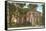 George Wythe House, Williamsburg, Virginia-null-Framed Stretched Canvas