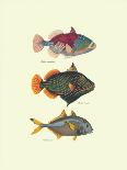Tropical Fish I-Georges Cuvier-Premium Giclee Print