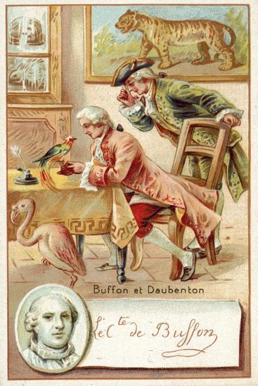 Georges-Louis Leclerc, Comte De Buffon, and Louis-Jean-Marie Daubenton,  French Naturalists' Giclee Print | AllPosters.com