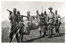 Lion at Bahr El Ghazal, Am Dafok, 1925-Georges-Marie Haardt-Stretched Canvas