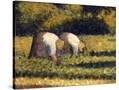 Stretched Canvas