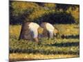 Wood Mount