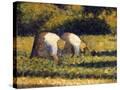 Stretched Canvas