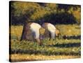 Stretched Canvas
