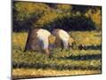 Wood Mount