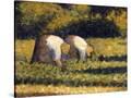 Stretched Canvas