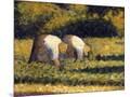 Wood Mount