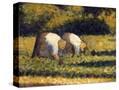 Stretched Canvas