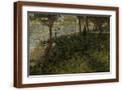Brown Frame