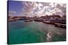 Georgetown Harbor Early Morning Cayman Islands-George Oze-Stretched Canvas