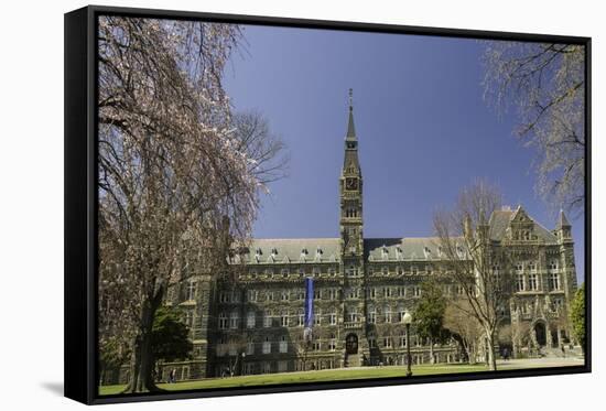 Georgetown University Campus Washington, D.C., United States of America, North America-John Woodworth-Framed Stretched Canvas