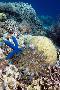 Just the Print