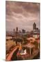 Georgia, Atlanta, Centennial Olympic Park, Elevated City View, Dusk-Walter Bibikow-Mounted Photographic Print