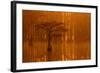 Georgia, Autumn, Cypress Trees in the Fog at George Smith State Park-Joanne Wells-Framed Photographic Print