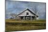 Georgia Barn-Barbara Simmons-Mounted Photographic Print