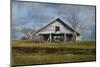 Georgia Barn-Barbara Simmons-Mounted Photographic Print