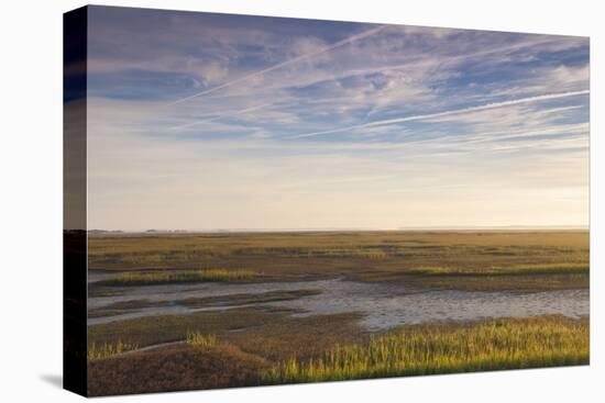 Georgia, Brunswick, Dawn View Along the Brunswick River Marshes-Walter Bibikow-Stretched Canvas