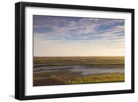 Georgia, Brunswick, Dawn View Along the Brunswick River Marshes-Walter Bibikow-Framed Photographic Print