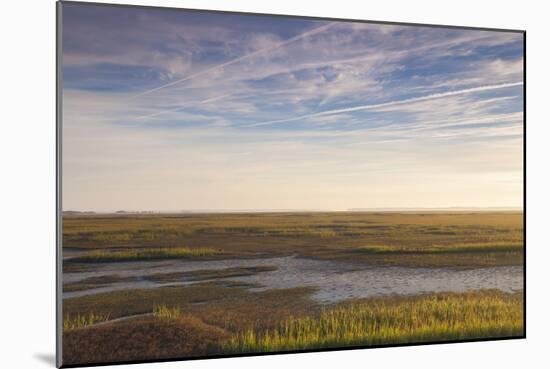 Georgia, Brunswick, Dawn View Along the Brunswick River Marshes-Walter Bibikow-Mounted Photographic Print