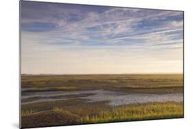 Georgia, Brunswick, Dawn View Along the Brunswick River Marshes-Walter Bibikow-Mounted Photographic Print