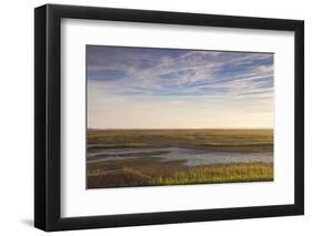 Georgia, Brunswick, Dawn View Along the Brunswick River Marshes-Walter Bibikow-Framed Photographic Print