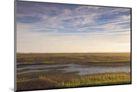 Georgia, Brunswick, Dawn View Along the Brunswick River Marshes-Walter Bibikow-Mounted Photographic Print