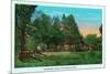 Georgia - Chickamauga Park View of Snodgrass House-Lantern Press-Mounted Art Print