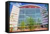 Georgia Dome, one of the largest multi-purpose sports and entertainment complexes in the United...-null-Framed Stretched Canvas