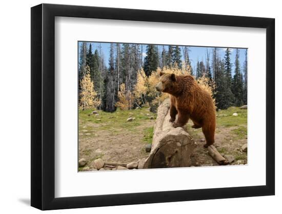 Photographic Print, , large