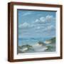 Brown Frame