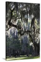 Georgia, Jekyll Island, Live Oak Trees-Walter Bibikow-Stretched Canvas