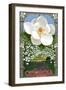 Georgia - Magnolia-Lantern Press-Framed Art Print