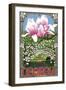 Georgia - Magnolias-Lantern Press-Framed Art Print