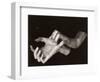 Georgia O'Keeffe (1887-1986)-Alfred Stieglitz-Framed Premium Photographic Print