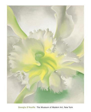 'White Flower on Red Earth, No. 1, c.1946' Art - Georgia O'Keeffe ...