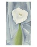 White Rose W/ Lakspur No.2-Georgia O'Keeffe-Art Print