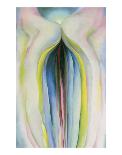 White Rose with Larkspur-Georgia O'Keeffe-Art Print