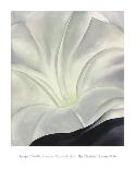 White Rose W/ Lakspur No.2-Georgia O'Keeffe-Art Print