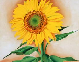 affordable georgia o keeffe