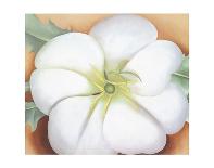 The White Calico Flower, c.1931-Georgia O'Keeffe-Framed Art Print
