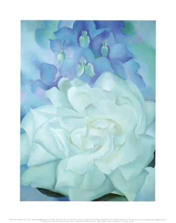 White Rose with Larkspur