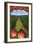 Georgia - Peach Orchard Scene-Lantern Press-Framed Art Print