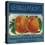 Georgia Peaches-null-Stretched Canvas